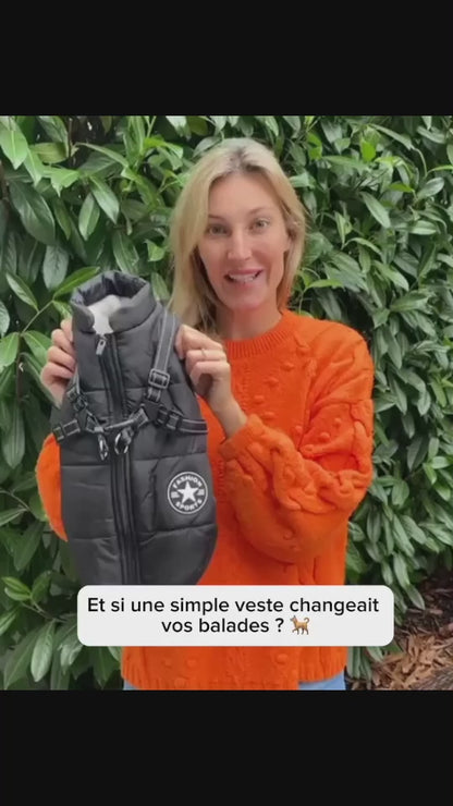 La Veste Premium pour Chiens : Imperméable, Chauffante et Parfaitement Ajustable pour Toutes les Tailles et Races !